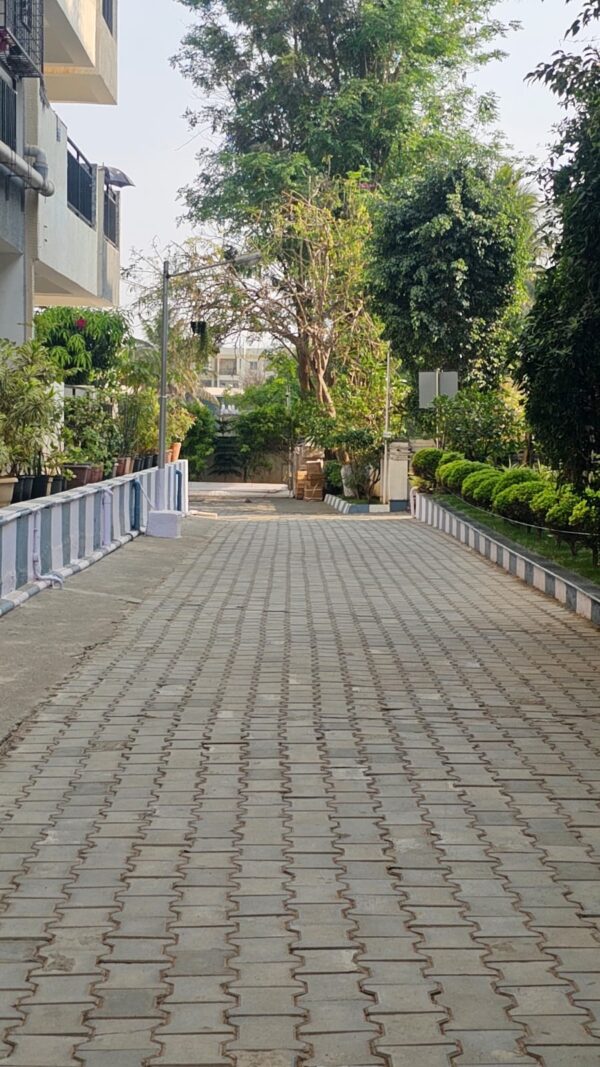 Tranquil Trails: Inviting Walking Path